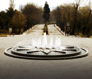 Üniversitemizin Başarısı