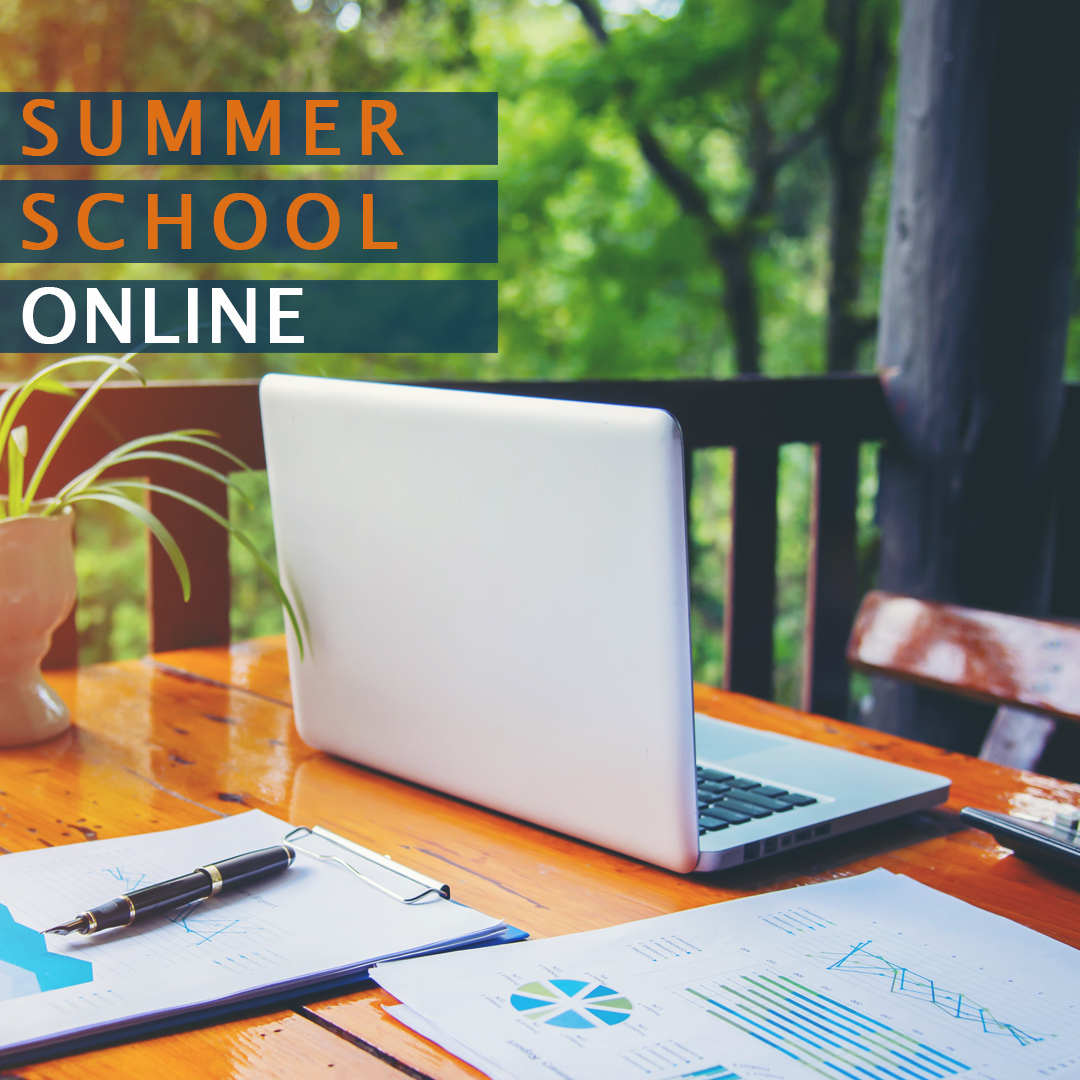 Summer School (Online)
