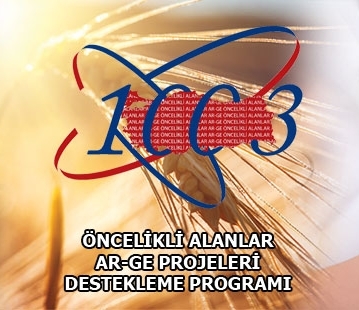 TÜBİTAK ARDEB 1003 çağrıları