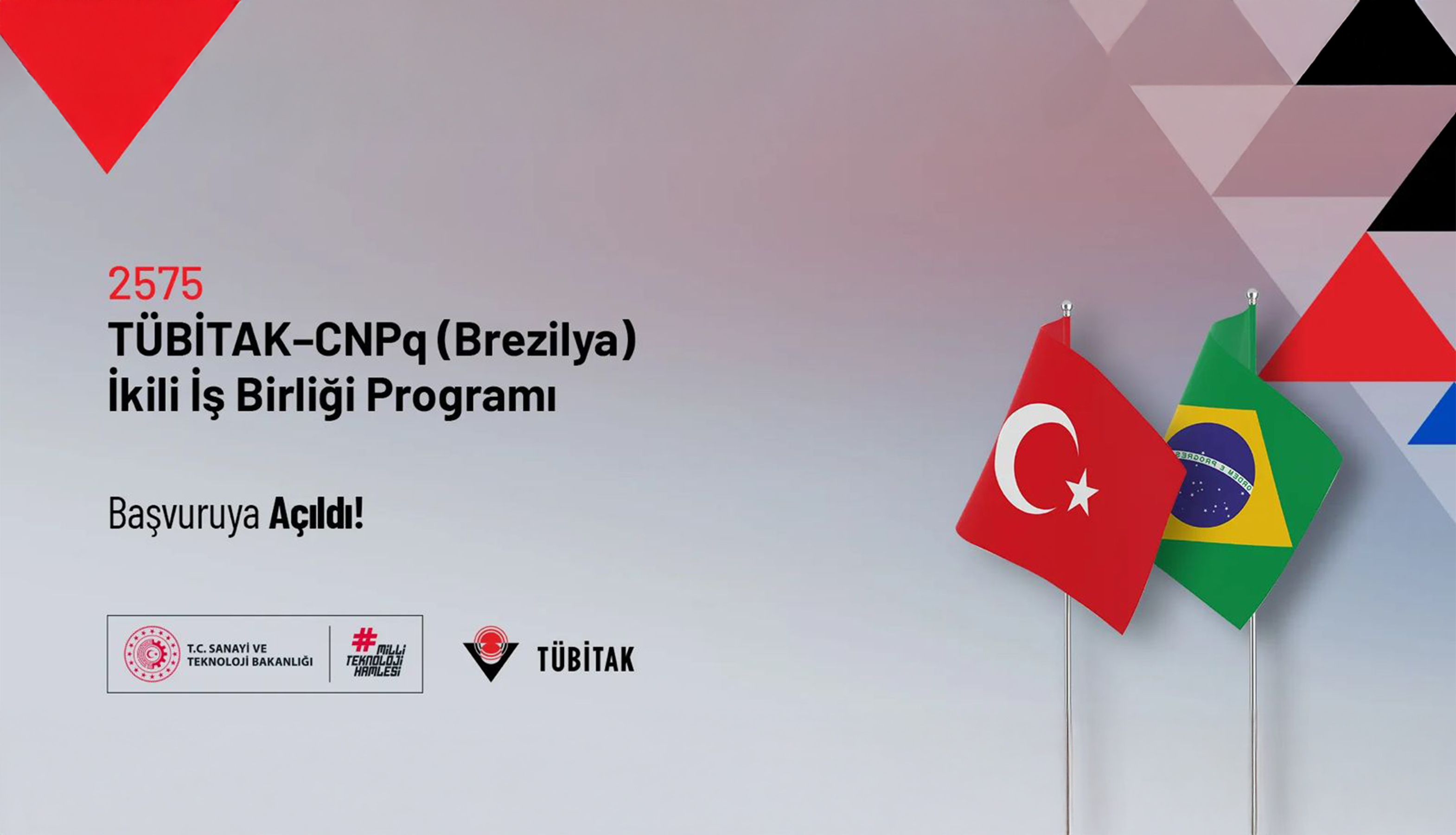 TÜBİTAK Brezilya İkili İş Birliği Programı