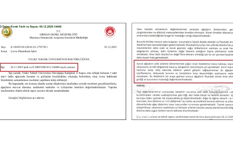 Mavi Ladin YTÜ OGM Raporu