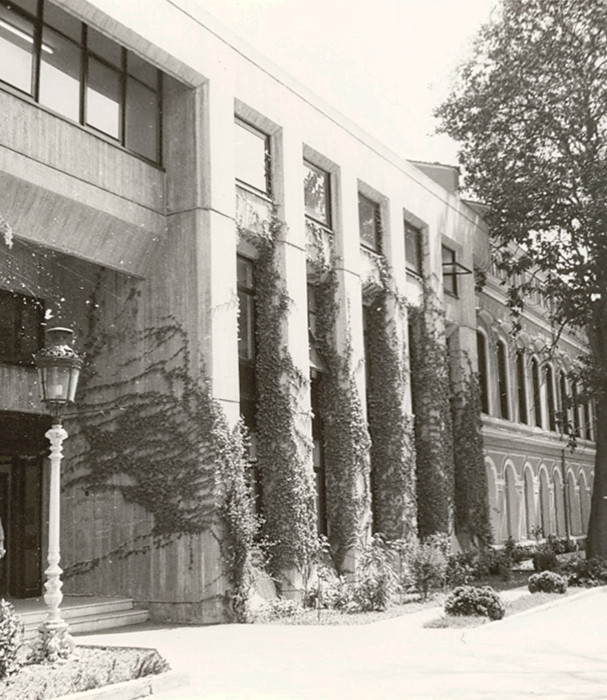 Yıldız Üniversitesi