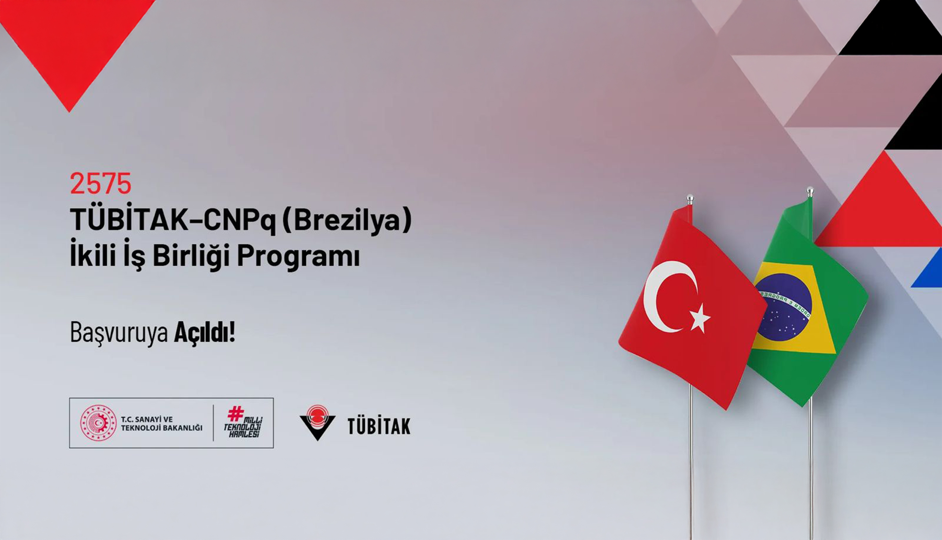 TÜBİTAK Brezilya İkili İş Birliği Programı